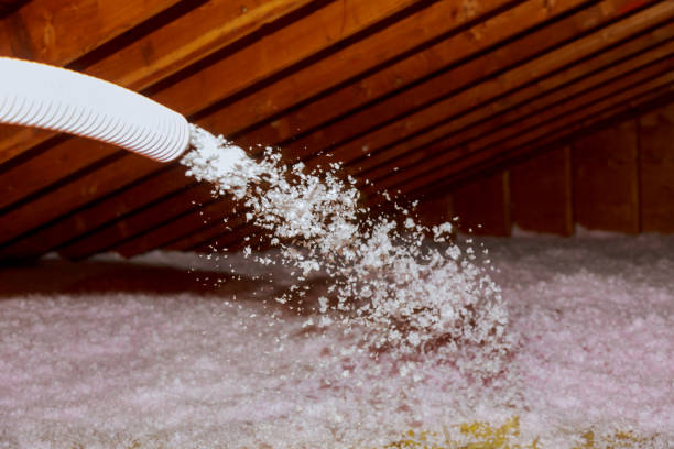 Best Spray Foam Insulation in Swepsonville, NC