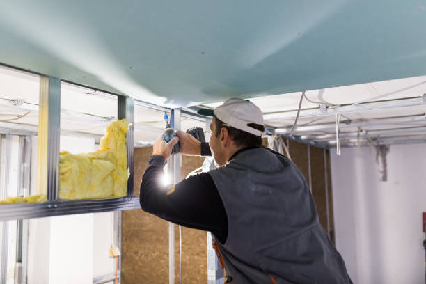 Best Commercial Insulation in Swepsonville, NC