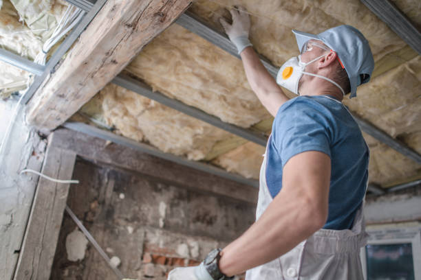 Best DIY Insulation Kits and Guidance in Swepsonville, NC